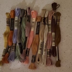 Assorted Embroidery Floss Set - Multicolor